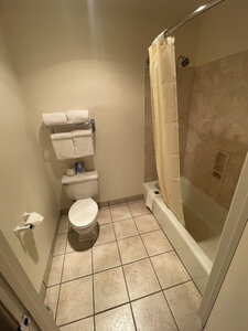 Pet Friendly Tqo Queen Beds Bathroom